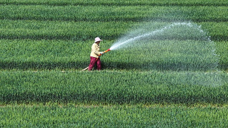 水利部 2025年全国春灌总面积约4.3亿亩