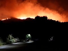 希腊 爱琴海东部希俄斯岛爆发山火