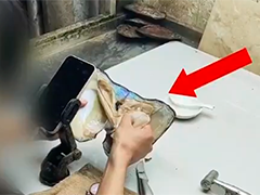 浙江诸暨：直播开蚌藏“消费套路”开蚌取珠 吸引众多消费者
