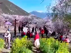 西藏以文旅融合激活发展新动能