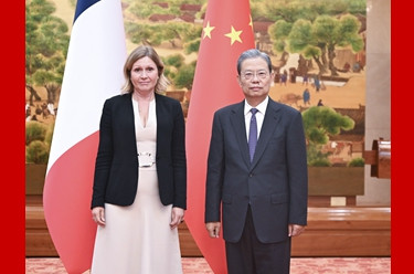 赵乐际同法国国民议会议长共同主持中国全国人大与法国国民议会交流机制第十二次会议