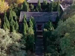 【文化中国行】山东嘉祥武氏祠：石刻上的华夏文明