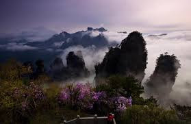 湖南张家界 多景区现云海奇观 山峦如黛风光无限