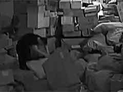 精准偷盗电子产品快递 离职“大盗”被抓获
