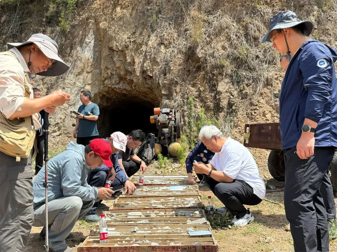 自然资源部 今年上半年全国重要矿种找矿取得重大突破