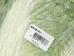 韩国高温致农产品价格暴涨 政府投放储备白菜