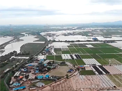 韩国暴雨致农业损失惨重 恶劣天气推动农产品价格上涨
