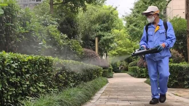 上海开展防蚊灭蚊行动 清除病媒生物孳生环境