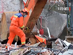 广州山体滑坡已致2人死亡 仍有5人被困 正在紧张搜救