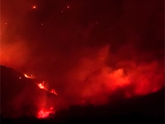 希腊南部多地山火肆虐 损失惨重