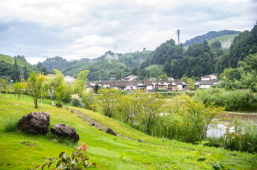各地加强田管 夯实秋粮稳产基础
