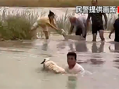 新疆和田：河水暴涨困住羊群 警民联手转移
