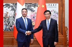 王沪宁会见瑞士联邦议会联邦院议长