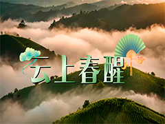 佘娟 云上春醒