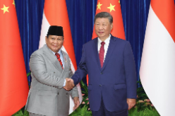 习近平会见印度尼西亚总统