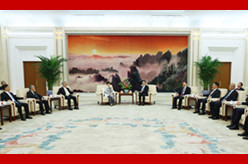 王沪宁会见参加抗战胜利80周年纪念活动的台湾各界人士代表