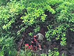 重庆奉节：野钓遇涨水两人被困 消防飞索救援