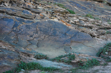 国家文物局 青海玛多县扎陵湖乡发现珍贵“秦刻石”