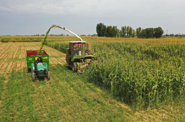 【“十四五”高质量发展答卷】我国农业农村发展稳中有进 稳中向好