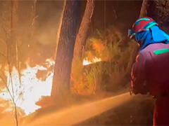 西班牙西北部山火持续肆虐