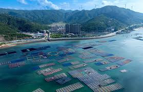 精耕深蓝 沿海各地积极推动海洋经济高质量发展