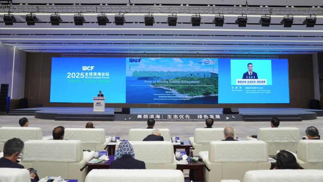 《全球滨海生态系统状况报告》发布 全球首次系统性评估滨海生态系统状况