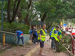 香港接逾1200宗树木倒伏报告