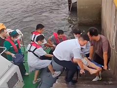 广西防城港:船员突发严重中暑 多方联动火速救援