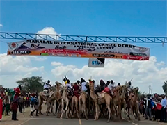 肯尼亚“国际骆驼德比节”盛大举行