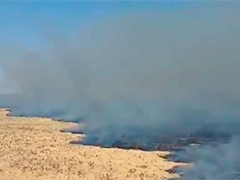 野火肆虐 纳米比亚一国家公园约三成面积遭烧毁