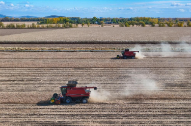农业农村部 全国秋粮收获近四成