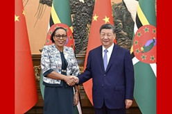 习近平会见多米尼克总统