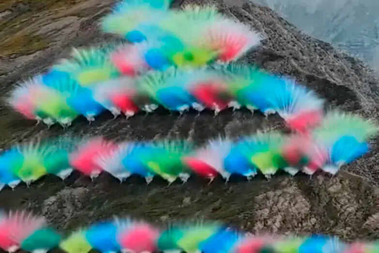 西藏日喀则发布烟花秀调查核查情况通报