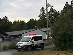 日本群马县再现熊袭人事件 两人遇袭受伤