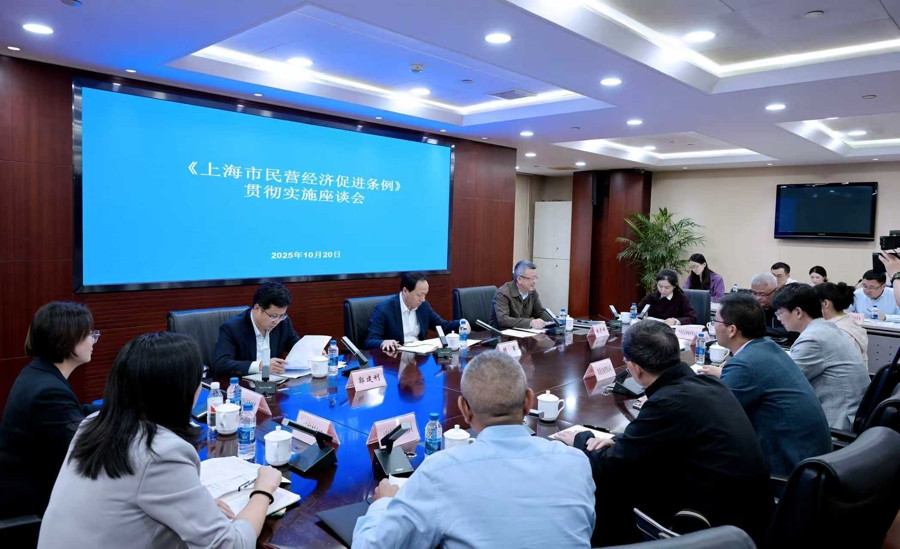 护航高质量发展《上海市民营经济促进条例》正式实施