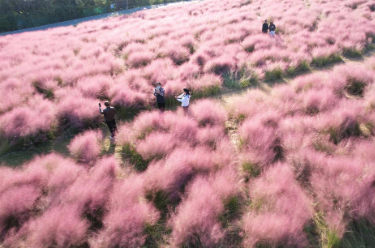 秋景如画 各地秋季旅游市场持续火爆