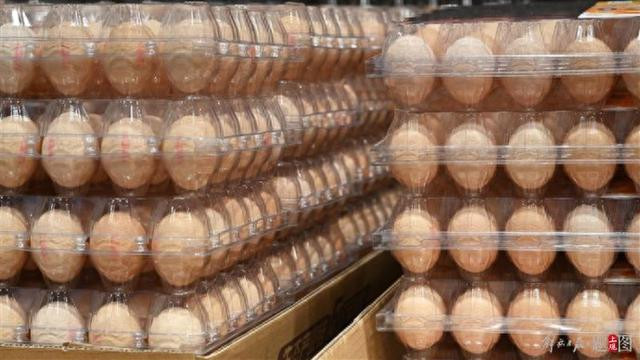 新版蛋制品生产许可审查细则发布 “液蛋制品”纳入审查范围