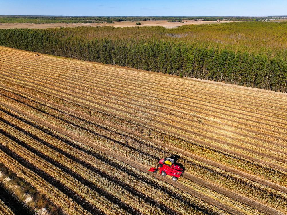 农业农村部 “奋战60天抗秋汛抢麦播促壮苗行动”启动