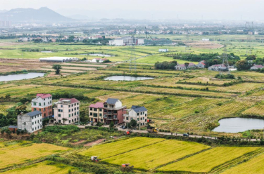 [新思想引领新征程·非凡"十四五"]我国农业农村现代化迈出坚实步伐