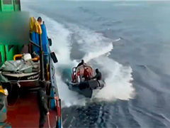 西班牙警方查获约6.5吨可卡因