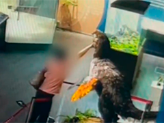 广州一游客将手伸进恐龙模型嘴中被卡住