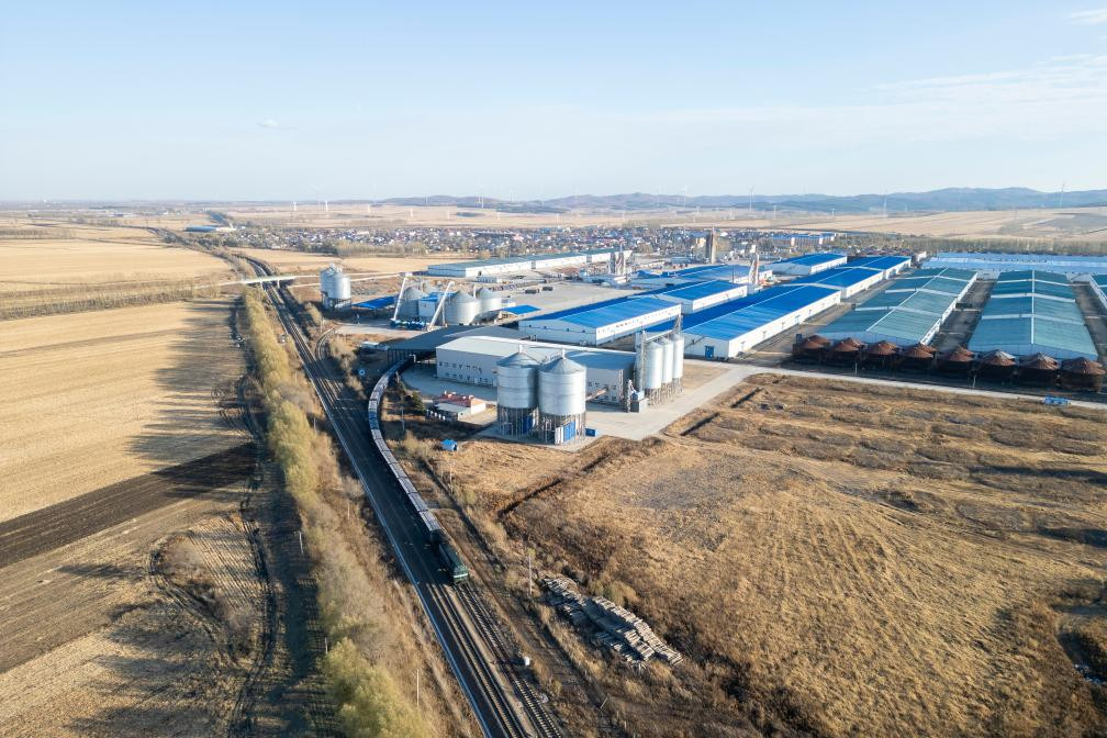 我国粮食主产区抢抓农时推进秋冬种