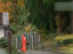 日本秋田县一日内现多起熊袭人事件