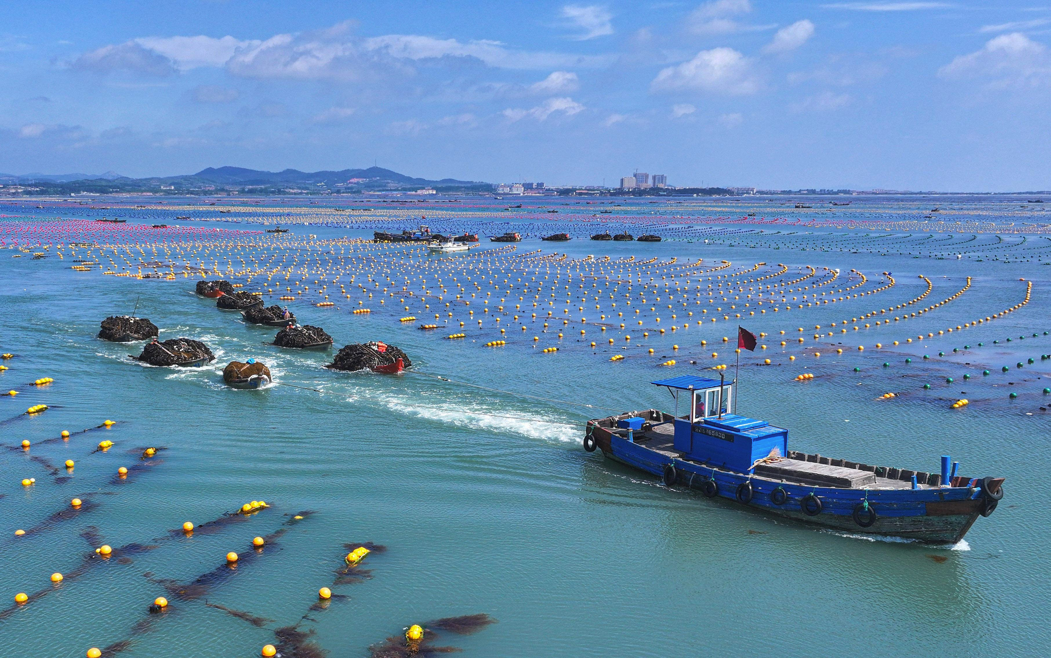 前三季度我国海洋生产总值达7.9万亿元