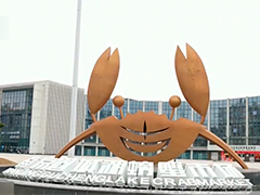 江苏南京 螃蟹大量上市 品鲜正当时