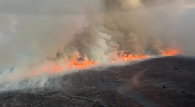 新西兰国家公园林火肆虐 过火面积超1800公顷