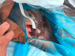 江苏南通海警边检深夜联合出击 查获海上走私冻品百余吨