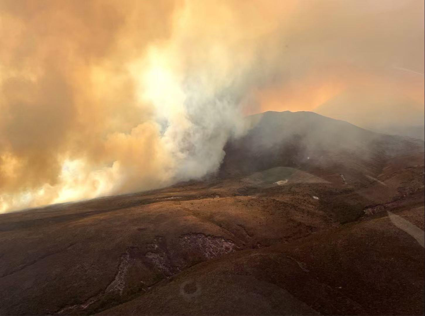 新西兰国家公园过火面积达2800公顷