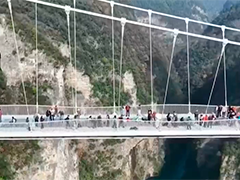 湖南张家界大峡谷圈粉全球游客