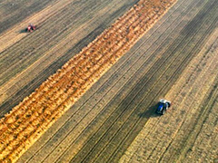 各地抢抓农时 有序推进秋冬种